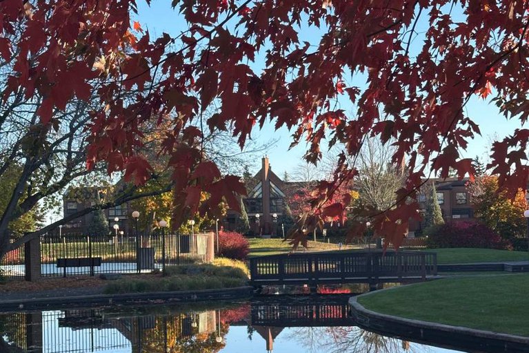 29231241/200-260-brittany-drive/viscount-alexander-park/ottawa/ontario/K1K4M2_34