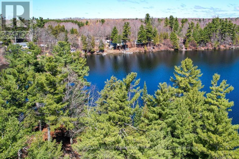 29631097/22-beckwith-street-south/smiths-falls/ontario/K7A2A8_40