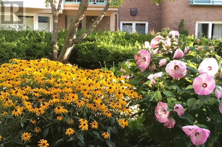 29521537/202a-62-donald-street/overbrook/ottawa/ontario/K1K1N2_33