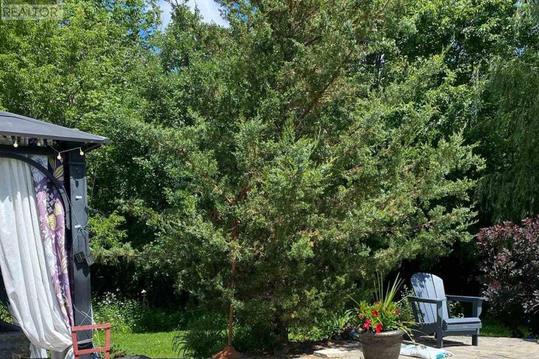 29376063/6167-burritts-rapids-road/north-grenville-twp-kemptville-south/north-grenville/ontario/K0G1N0_37