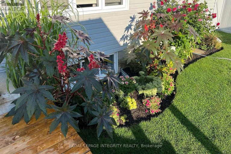 29651111/204-hybrid-street/embrun/russell/ontario/K0A1W0_31