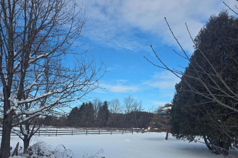 29039205/7788-county-21-road/augusta-twp/augusta/ontario/K0E1X0_3