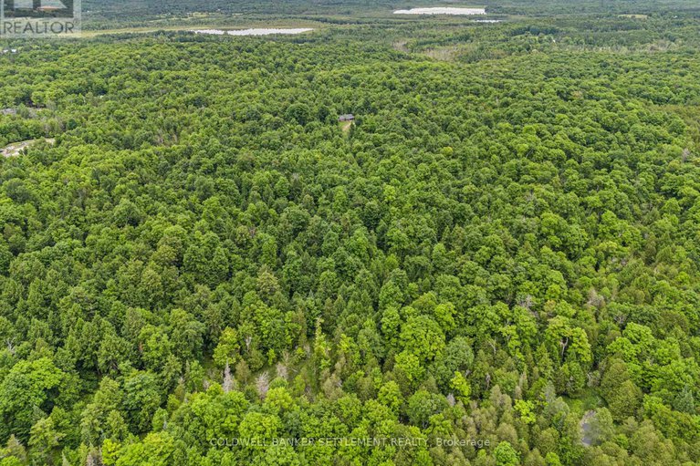 28586649/884-conc-9a-dalhousie-road/lanark-highlands-dalhousie-twp/lanark-highlands/ontario/K0G1M0_40