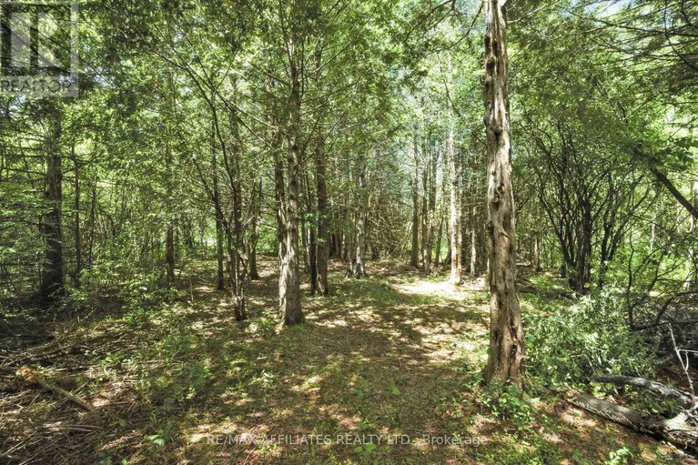 28520319/491-lake-avenue-e/beckwith-twp/beckwith/ontario/K7C3S7_28