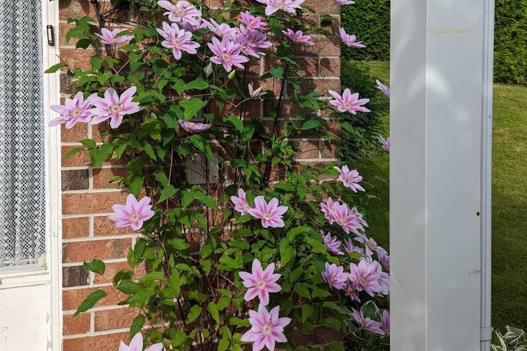 29641175/17-durbin-court/katimavik/ottawa/ontario/K2L3T7_30