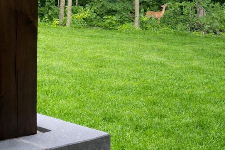 29442776/2191-cassburn-road/champlain-twp/champlain/ontario/K0B1K0_98