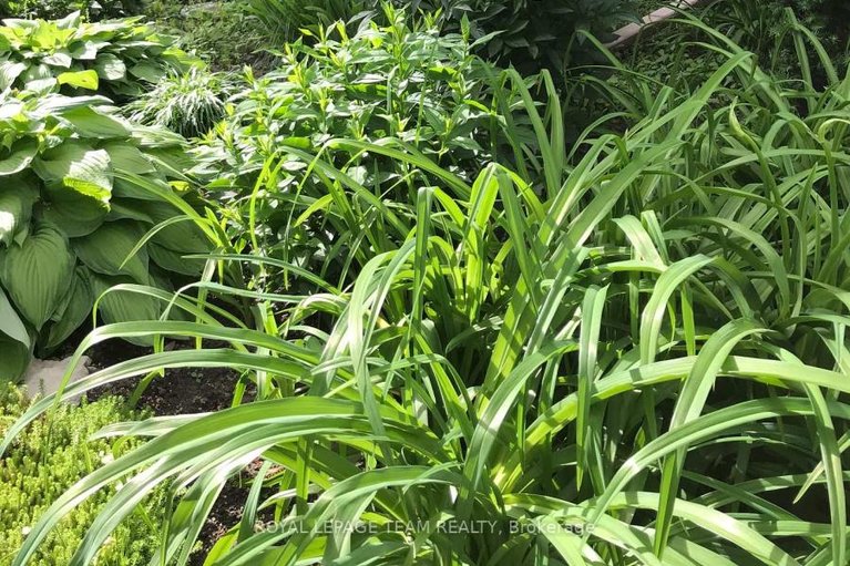 29521537/202a-62-donald-street/overbrook/ottawa/ontario/K1K1N2_30