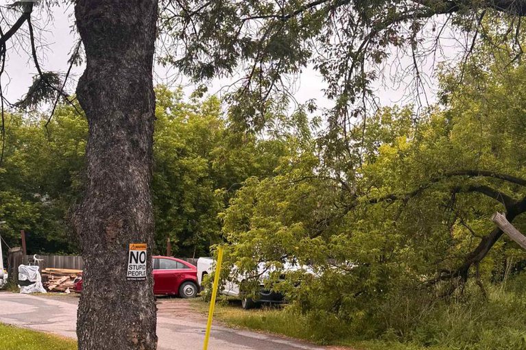 29278777/3329-navan-road/mer-bleuebradley-estatesanderson-park/ottawa/ontario/K1W0K7_4