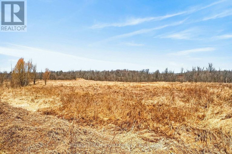 29615070/216-trail-side-circle/springridgeeast-village/ottawa/ontario/K4A5B5_41