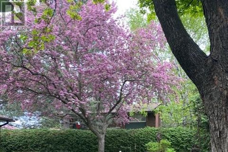 29490133/54-selwyn-place-w/beaverbrook/ottawa/ontario/K2K1P2_44