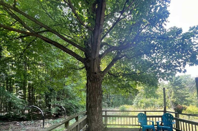 29357581/4960-county-rd-34-road/south-glengarry-charlottenburgh-twp/south-glengarry/ontario/K0C2J0_24