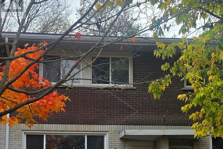 29030671/a-1506-a-lepage-avenue/carlington/ottawa/ontario/K1Z8C9_2