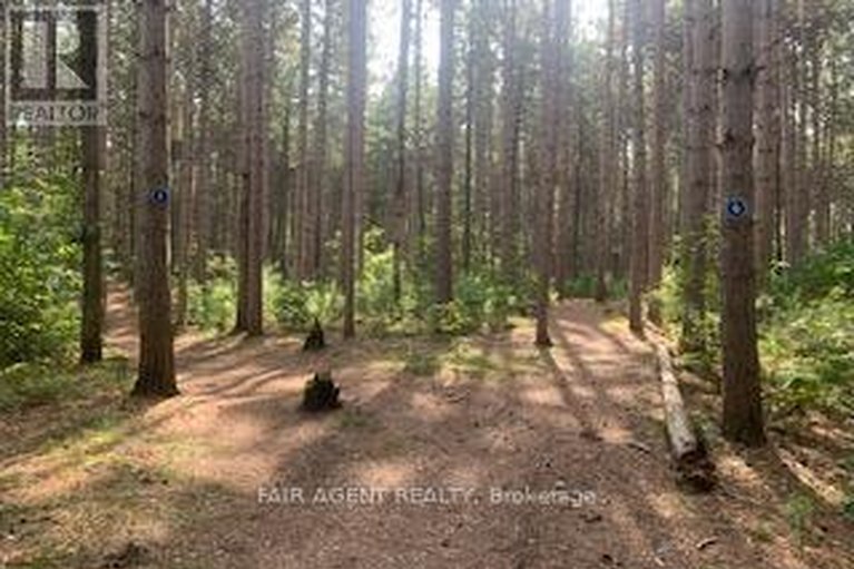 29480320/164-baillie-avenue/constance-bay/ottawa/ontario/K0A3M0_32