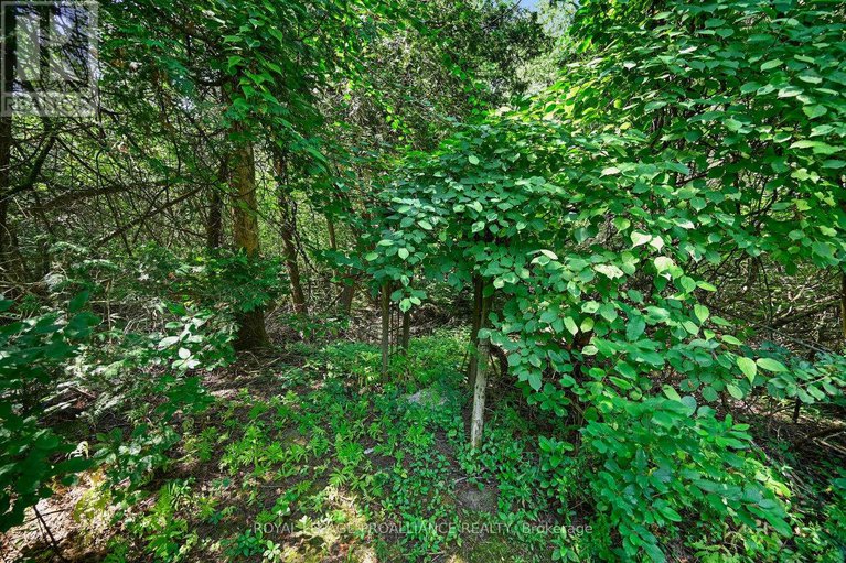 28720304/3050-merwin-lane/augusta-twp/augusta/ontario/K0E1T1_25