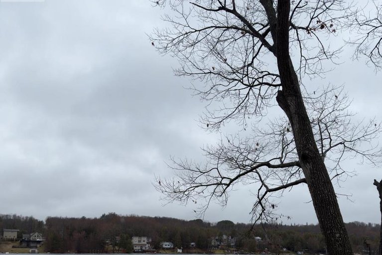 29615974/1114-bayview-drive/constance-bay/ottawa/ontario/K0A3M0_35