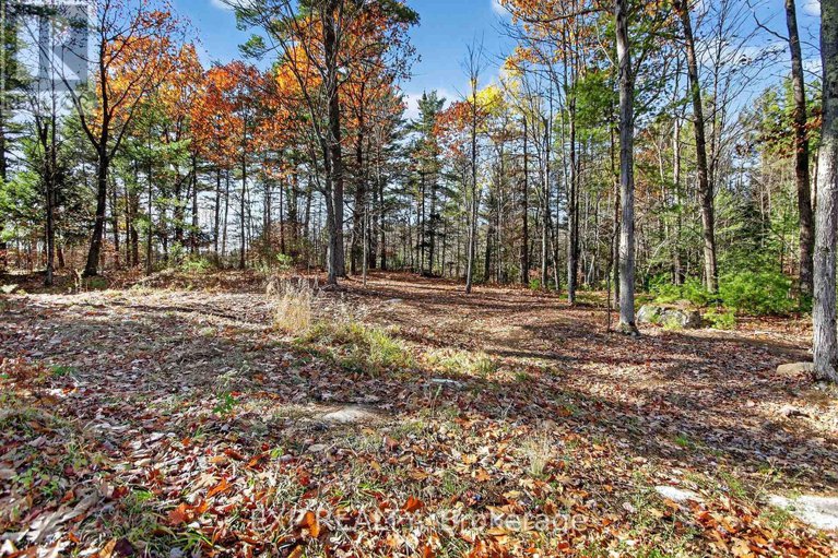 29079642/2989-ramsay-concession-3c-road/mississippi-mills-ramsay-twp/mississippi-mills/ontario/K0A1A0_48