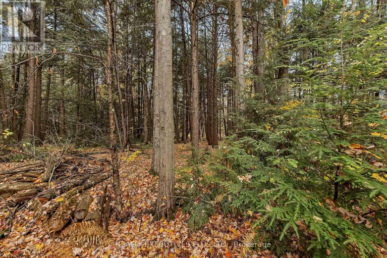 29015606/2660-dubois-street/clarencerockland-twp/clarence-rockland/ontario/K4K1K7_37
