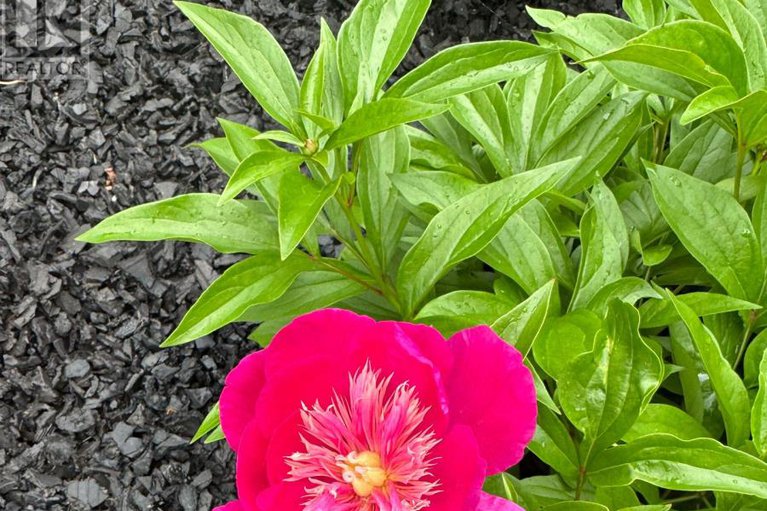 29416732/869-moses-tennisco-street/cfb-rockcliffe-and-area/ottawa/ontario/K1K5A2_35