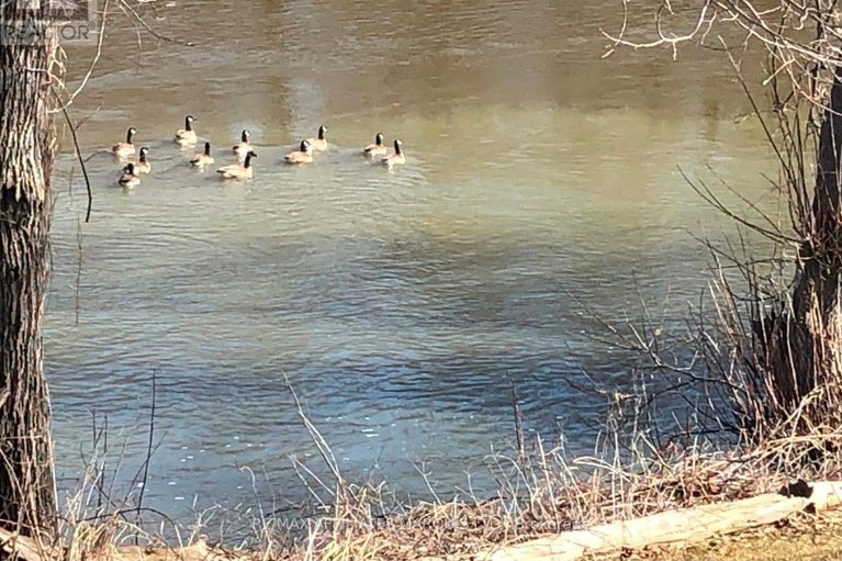 29205685/5857-kraft-road/south-glengarry-charlottenburgh-twp/south-glengarry/ontario/K0C2J0_28