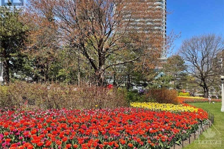 29321936/3505-805-carling-avenue/west-centre-town/ottawa/ontario/K1S5W9_40