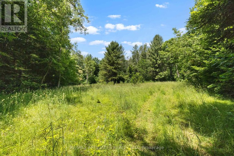 28517166/1655-old-perth-road/mississippi-mills-ramsay-twp/mississippi-mills/ontario/K0A1A0_7