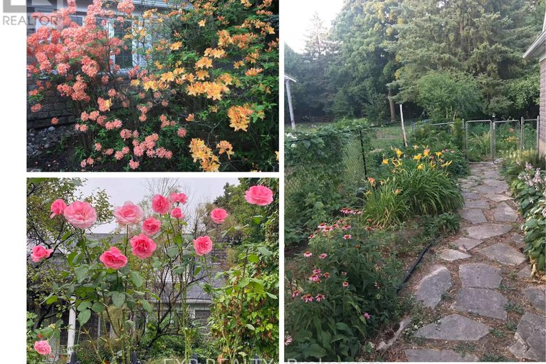 29257796/661-blair-road/rothwell-heights/ottawa/ontario/K1J7M4_6