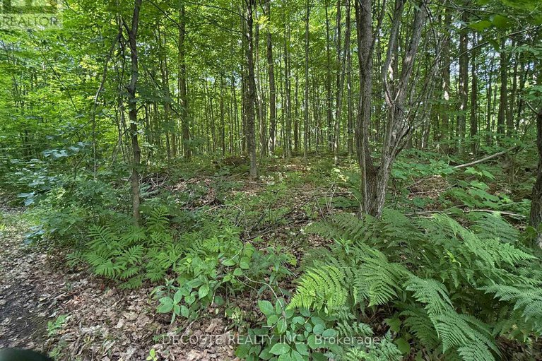 28471591/2654-county-30-road/north-glengarry-kenyon-twp/north-glengarry/ontario/K0C1A0_33