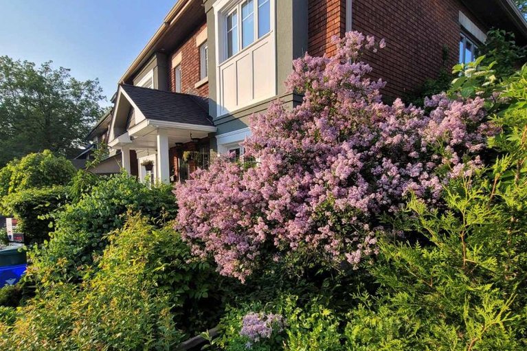 29677911/145-blackburn-avenue/sandy-hill/ottawa/ontario/K1N8A6_26