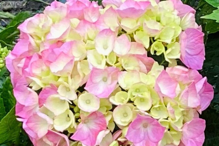 29092517/95-1474-heatherington-road/heron-gateindustrial-park/ottawa/ontario/K1V6S1_45