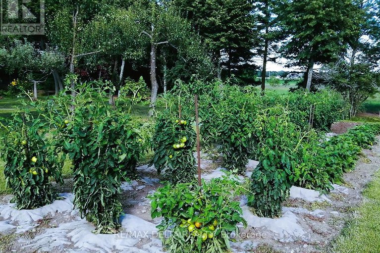 29608680/2685-concession-7-road/east-hawkesbury/ontario/K0B1P0_35