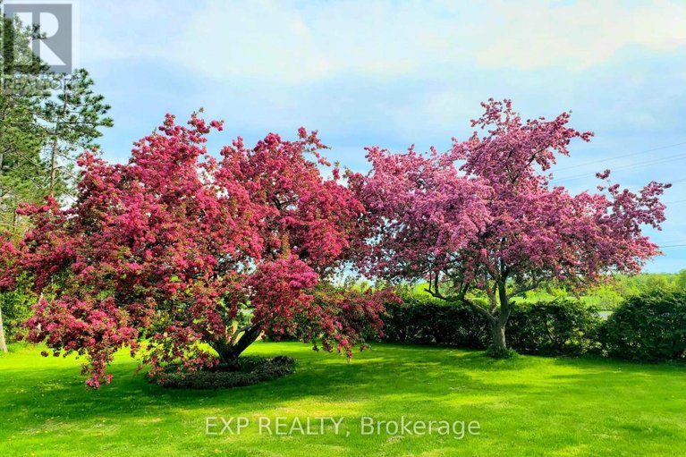 29540687/4802-county-road-29-road/mississippi-mills-ramsay-twp/mississippi-mills/ontario/K0A1A0_43