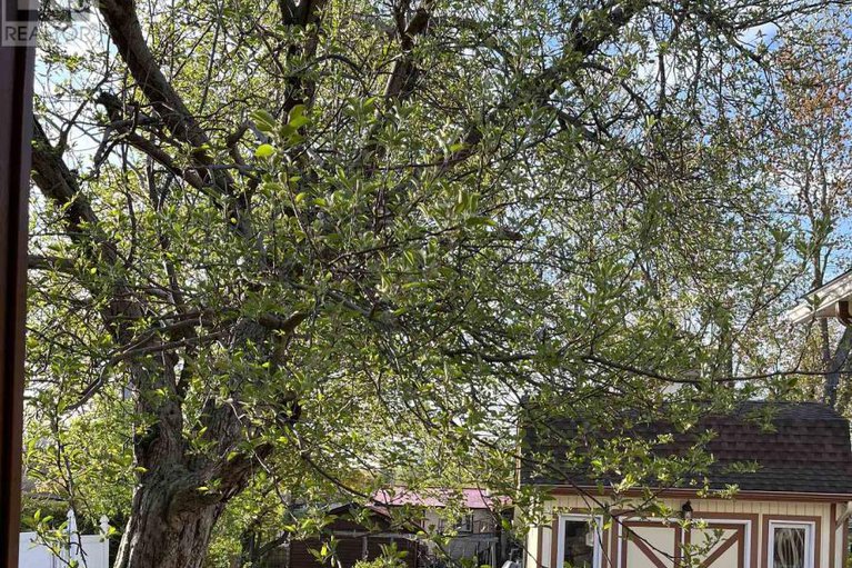 29322924/504-clothier-street-e/kemptville/north-grenville/ontario/K0G1J0_28