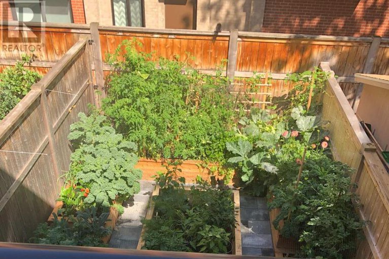 29140235/327-st-andrew-street/lower-town/ottawa/ontario/K1N5G9_42