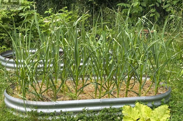 29584602/3976-carp-road/carp/ottawa/ontario/K0A1L0_42