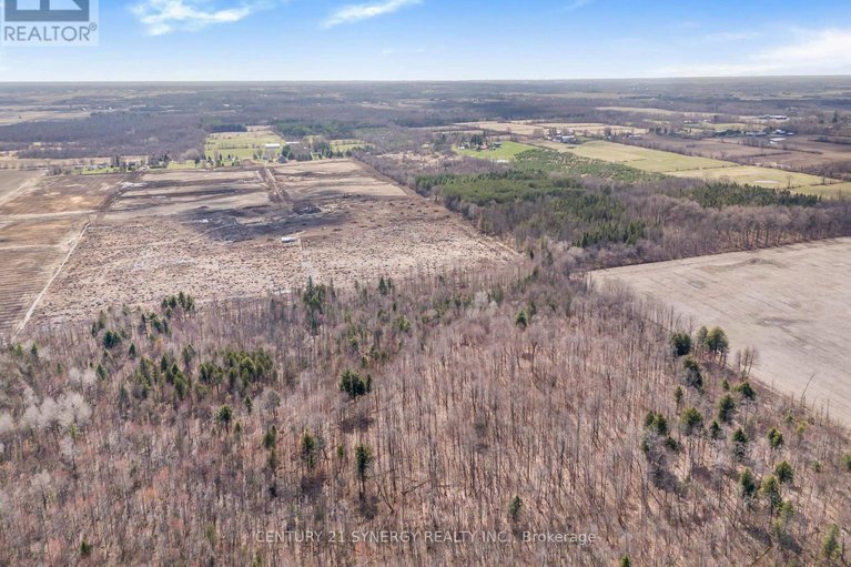 29662786/551-greenlane-road/champlain-twp/champlain/ontario/K6A2R2_36