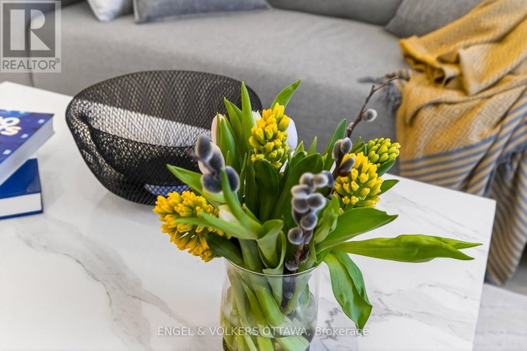 29681481/19-rupert-street/glebe/ottawa/ontario/K1S3S2_6
