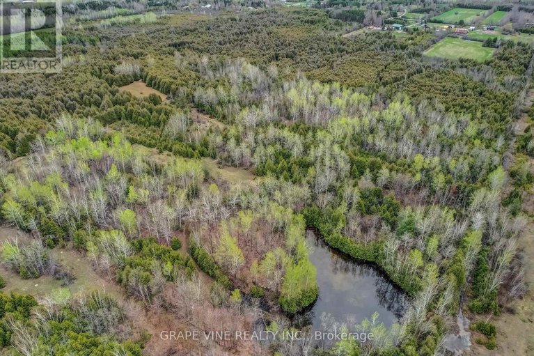 29103096/1671-county-rd-43-road/north-grenville-twp-kemptville-south/north-grenville/ontario/K0G1G0_44