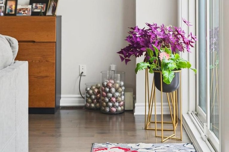 29457178/60-jardiniere-street/remainder-of-stittsville-area/ottawa/ontario/K2S2K2_10