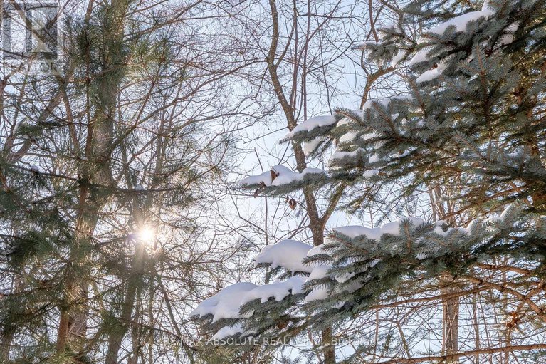 29377754/31-marsh-sparrow-private/morgans-grantsouth-march/ottawa/ontario/K2K3P2_36
