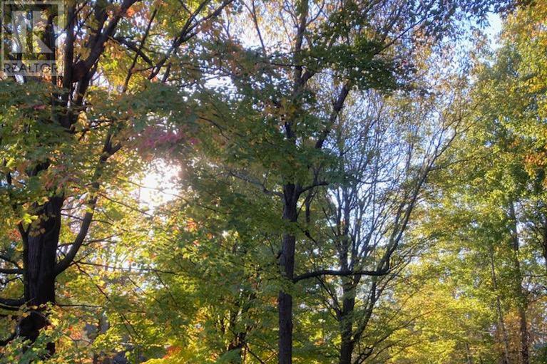 29392400/834-south-gower-drive/north-grenville-twp-kemptville-east/north-grenville/ontario/K0G1J0_33