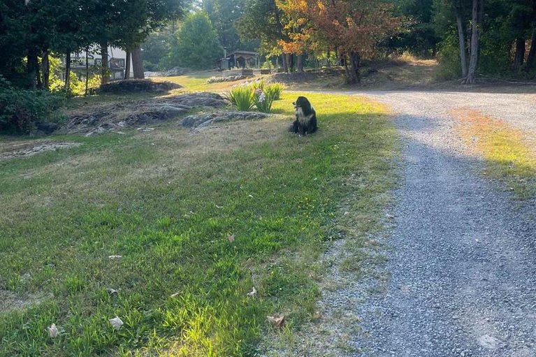 28763125/756-bellamy-mills-road/mississippi-mills-ramsay-twp/mississippi-mills/ontario/K0A1A0_48
