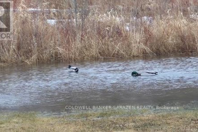 29667357/38-paddington-private/heron-gateindustrial-park/ottawa/ontario/K1V0T2_21