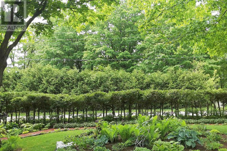 29160028/248-borden-road/mississippi-mills-ramsay-twp/mississippi-mills/ontario/K7C3P1_42