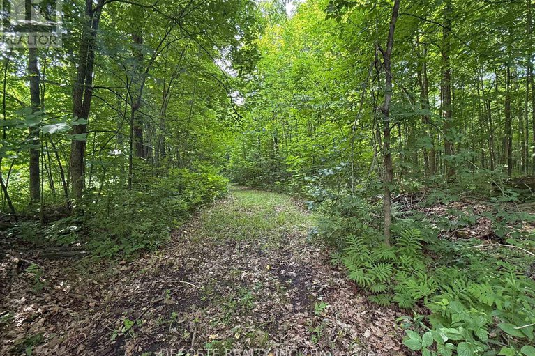 28471591/2654-county-30-road/north-glengarry-kenyon-twp/north-glengarry/ontario/K0C1A0_32