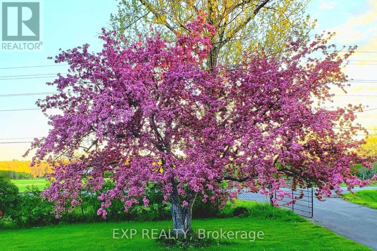 29540687/4802-county-road-29-road/mississippi-mills-ramsay-twp/mississippi-mills/ontario/K0A1A0_36