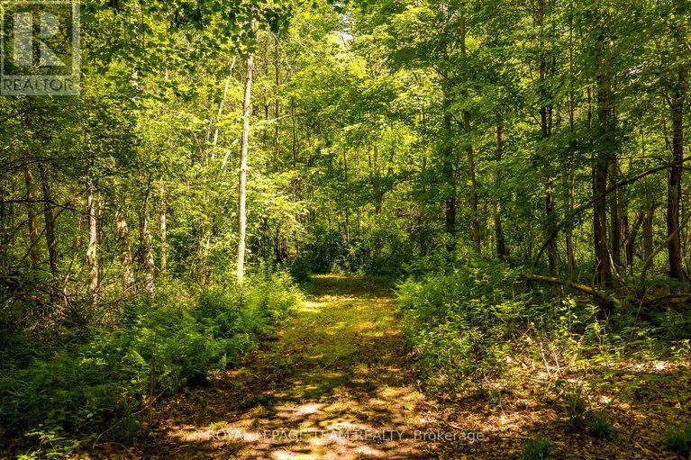 28777679/3002-porter-road/north-grenville-twp-kemptville-south/north-grenville/ontario/K0G1T0_49