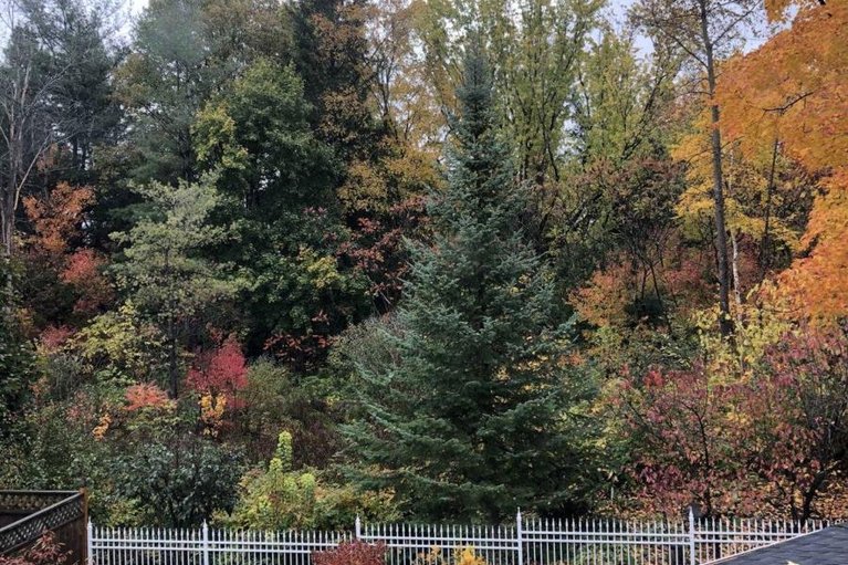 29626257/19-kimmins-court/beaverbrook/ottawa/ontario/K2K2M4_44