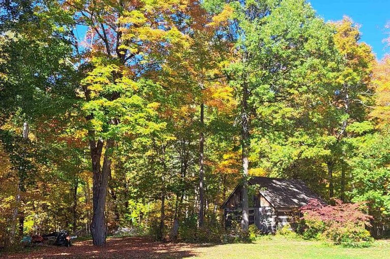 29649577/509-iron-mine-road-s/lanark-highlands-dalhousie-twp/lanark-highlands/ontario/K0G1K0_32