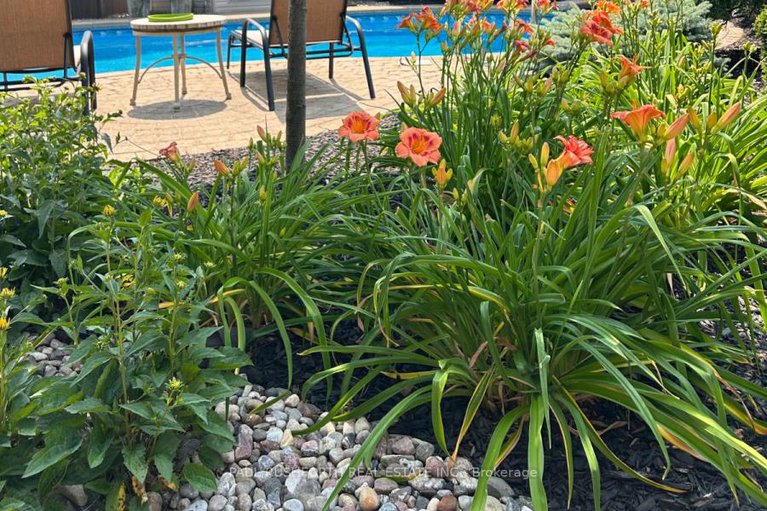 29306456/3-fanterra-way/hunt-club-parkgreenboro/ottawa/ontario/K1T3Z7_48