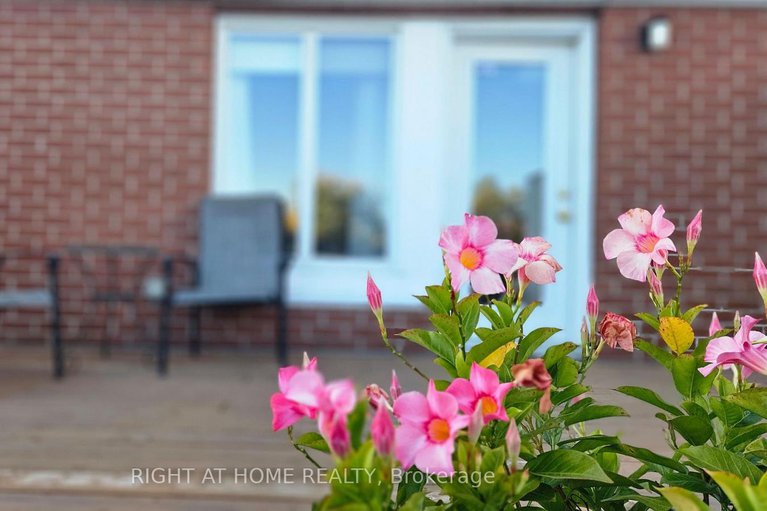 29127565/4-thorburn-private/lower-town/ottawa/ontario/K1N1G4_39